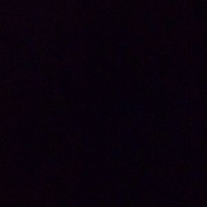 Meet your Posher, Randall