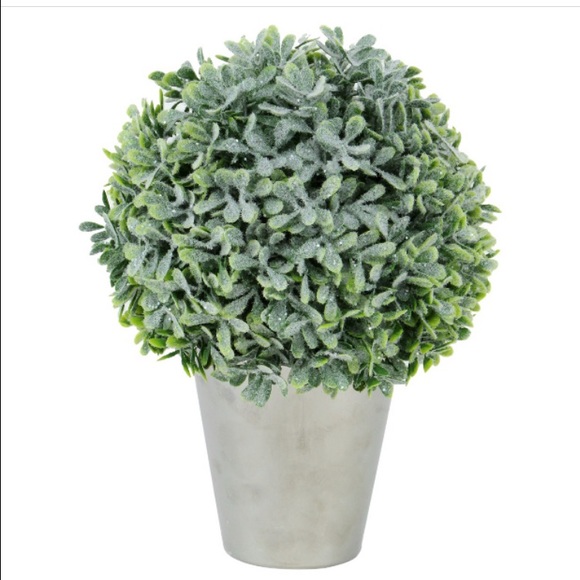 Meet your Posher, Chantell