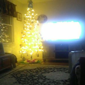 Meet your Posher, Laurie