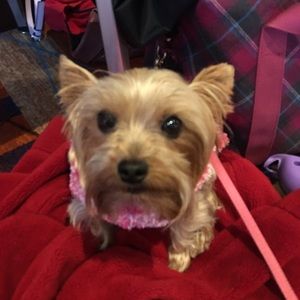 Meet your Posher, Roe