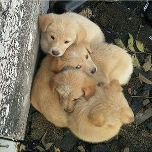 Meet your Posher, Ann