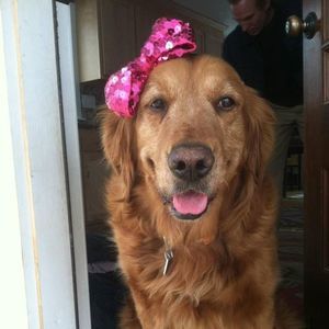 Meet your Posher, Eva