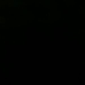 Meet your Posher, Roy