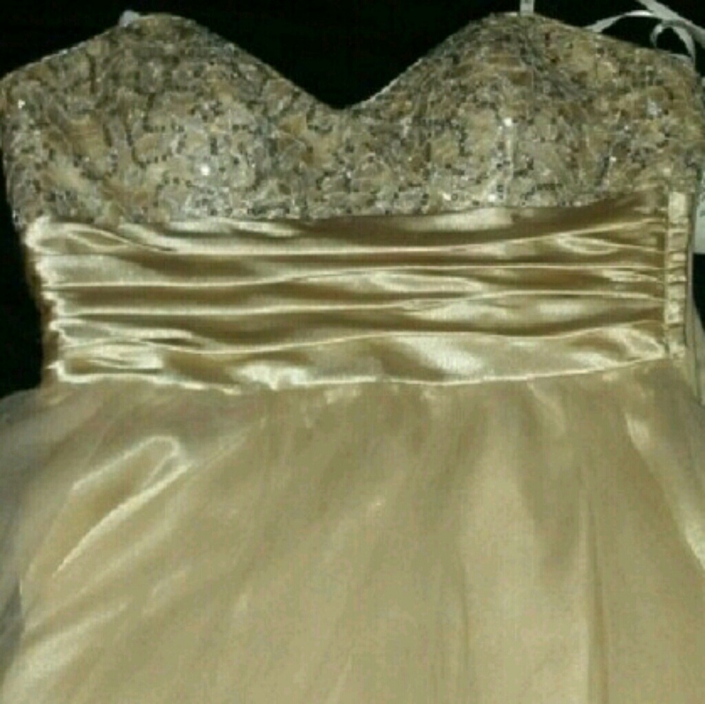 Homecoming/Prom Dress