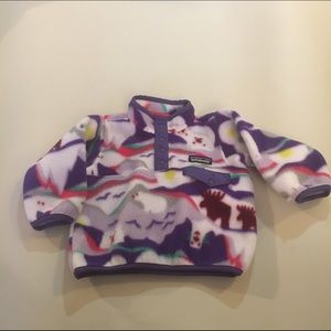 Patagonia Synchilla Hoodie