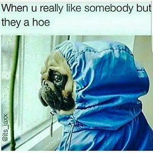 Meet your Posher, Richie