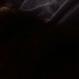 Meet your Posher, Juan