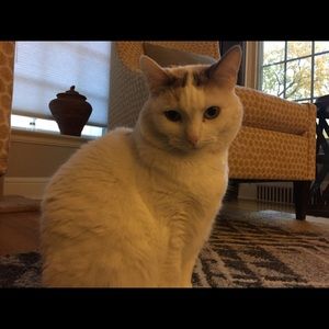 Meet your Posher, Jennifer