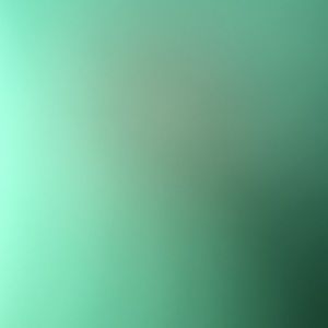 Meet your Posher, Monique