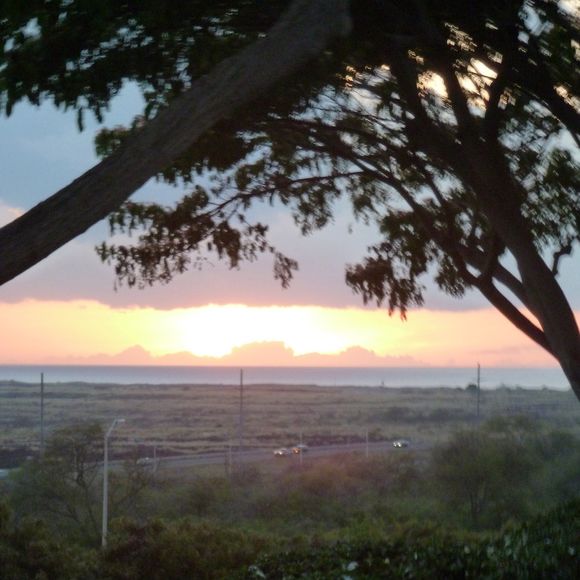 Meet your Posher, Karrie