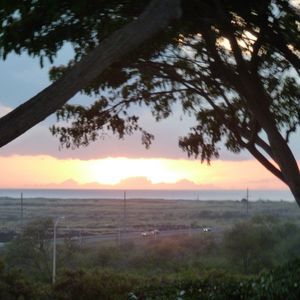 Meet your Posher, Karrie