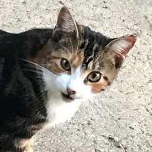 Meet your Posher, Jamie