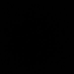 Meet your Posher, Selene