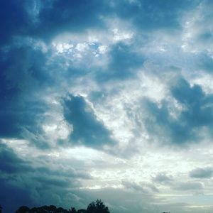 Meet your Posher, Darrell