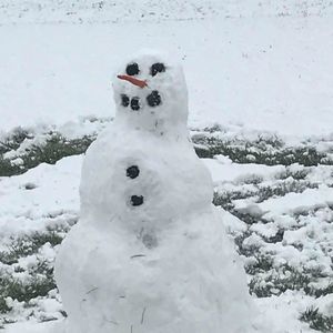 Meet your Posher, Heidi