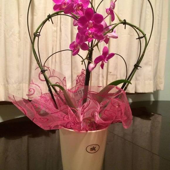 Meet your Posher, Grace