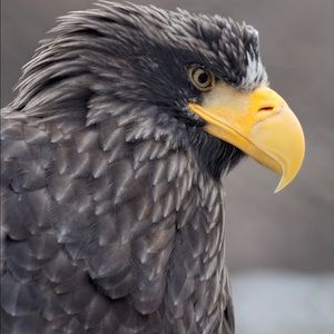 Meet your Posher, Miguel