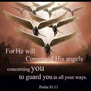 Meet your Posher, Rhonda