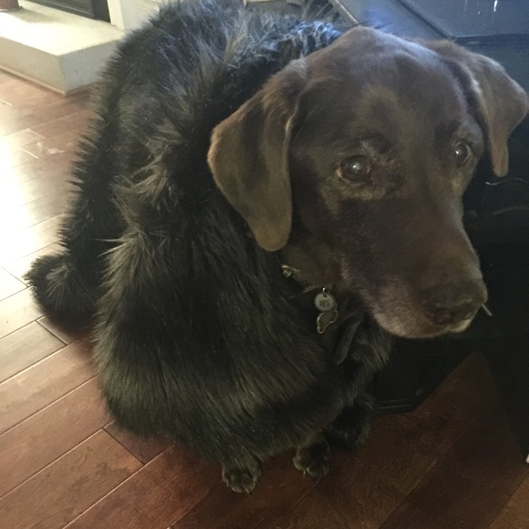 Meet your Posher, Melissa - Picture 2 of 2