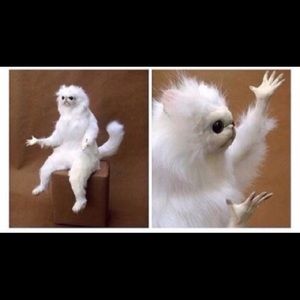 Meet your Posher, Bzkak