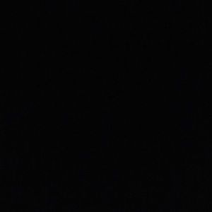 Meet your Posher, Evan