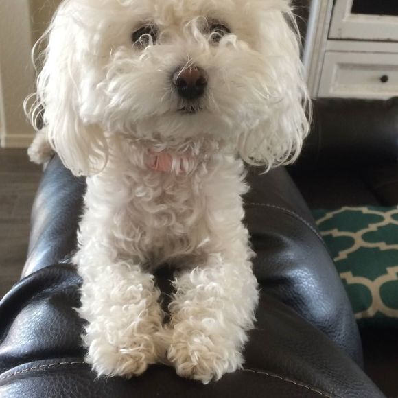 Meet your Posher, Marshallandbecky - Picture 1 of 1