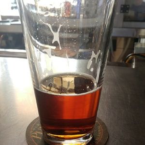 Meet your Posher, Steve