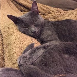 Meet your Posher, Michael