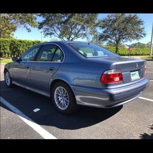 Meet your Posher, Bailey