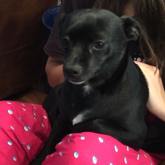 Meet your Posher, Kim - Picture 1 of 1