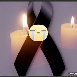 Meet your Posher, Bertha