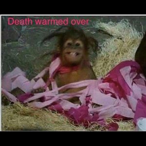 Meet your Posher, Lorie