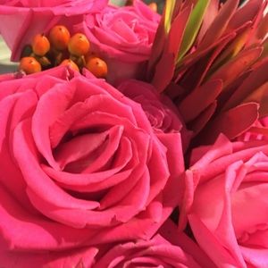 Meet your Posher, Ashly