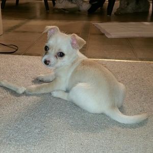 Meet your Posher, Kim