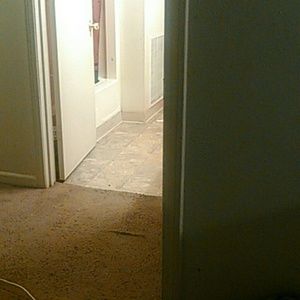 Meet your Posher, Travaris