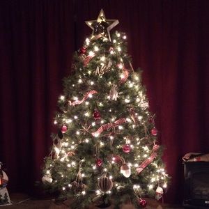 Meet your Posher, Jodi