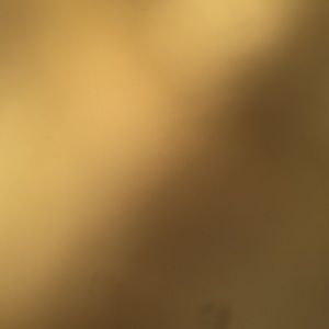 Meet your Posher, Malik