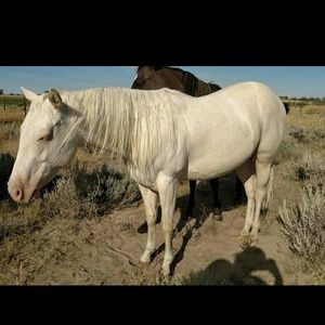 Meet your Posher, Starla