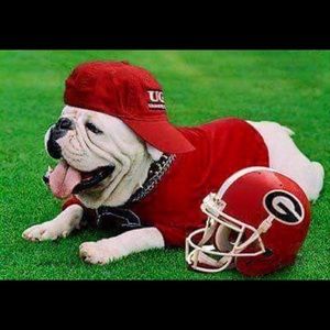 Meet your Posher, Sonya