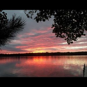 Meet your Posher, Tanner