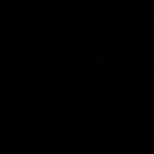 Meet your Posher, Davion