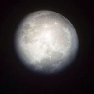 Meet your Posher, Dion