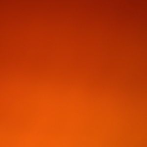 Meet your Posher, Kobey