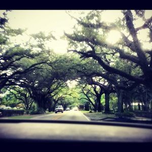 Meet your Posher, Charlotte