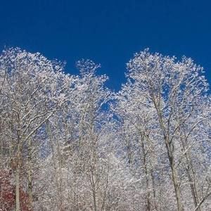 Meet your Posher, Teresa