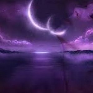 Meet your Posher, Ann