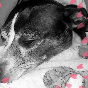 Meet your Posher, Al