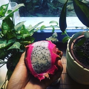 Meet your Posher, Mae