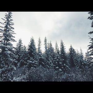 Meet your Posher, Wyatt