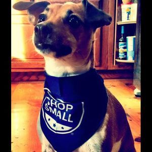 Meet your Posher, Courtney